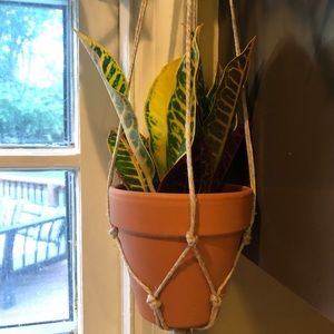 Meet your Posher, Jackie